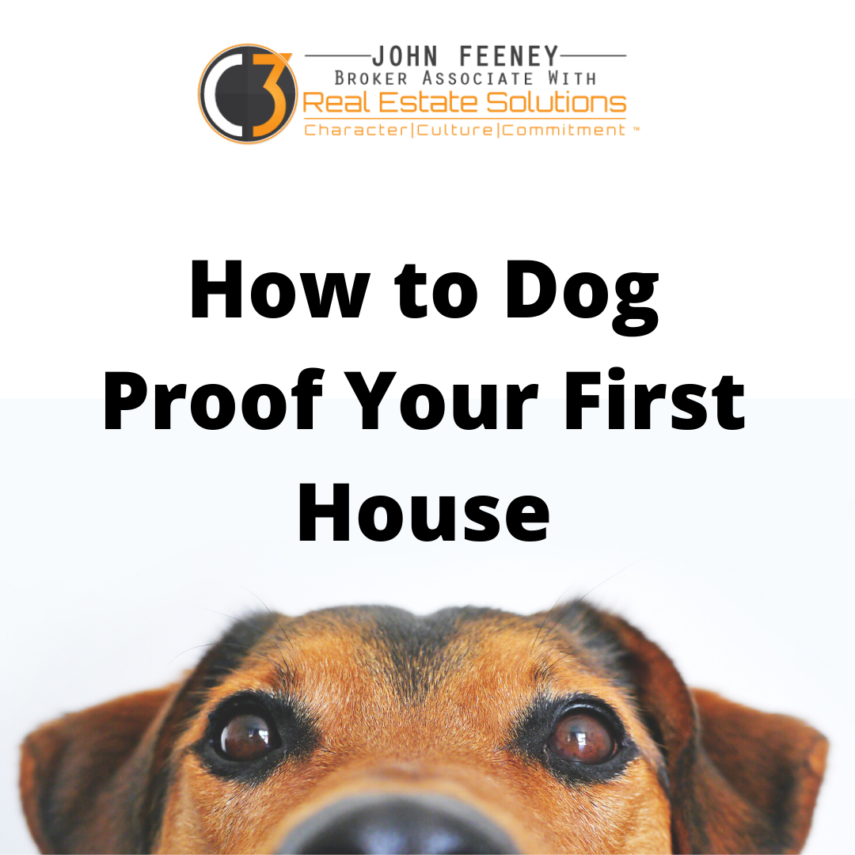 Dog Proofing Your First Home