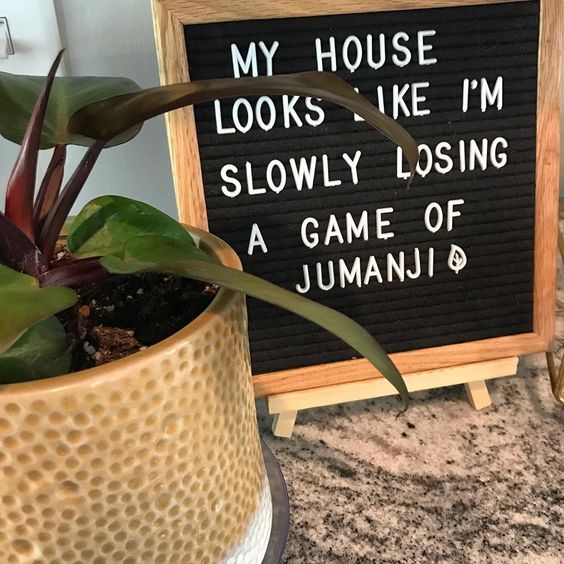 Plants make the ultimate housewarming gift for someone who bought their first house