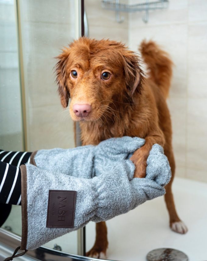 Create a dog washing station at your new home