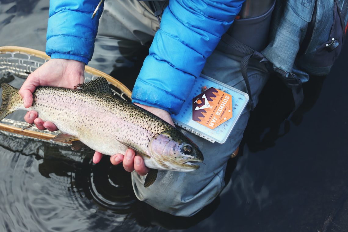 Rainbow Trout Fishing is Excellent at Horsetooth Reservoir