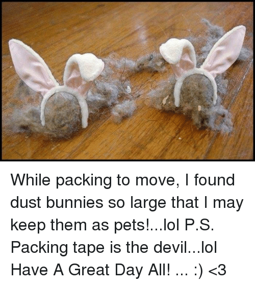 Dust Bunny While Moving to Northern Colorado