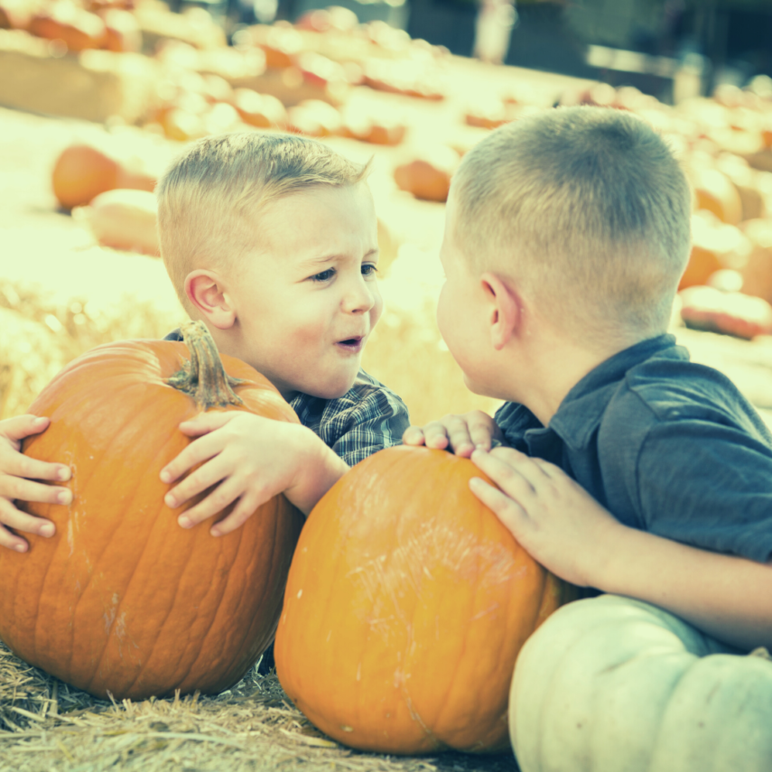 Visit a Pumpkin Patch 