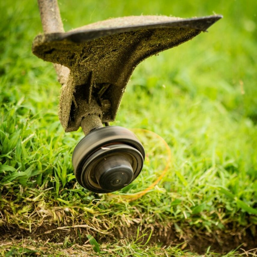 Cleaning your mountain home 